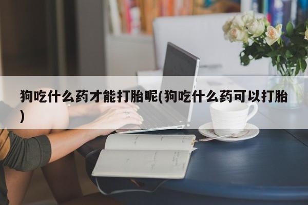 米非司酮片在线购微信狗吃什么药才能打胎呢(狗吃什么药可以打胎)
