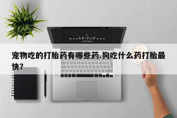 米非司酮片在线购微信宠物吃的打胎药有哪些药.狗吃什么药打胎最快？