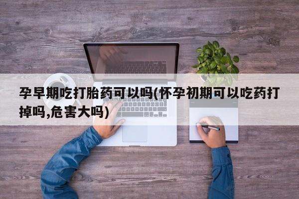 米非司酮片在线购微信孕早期吃打胎药可以吗(怀孕初期可以吃药打掉吗,危害大吗)